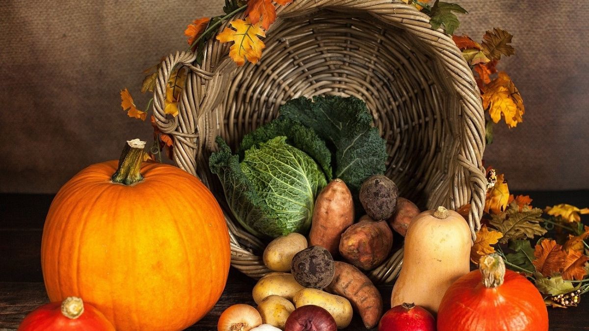 Tiết kiệm chi phí và bảo vệ môi trường nhờ thực phẩm theo mùa